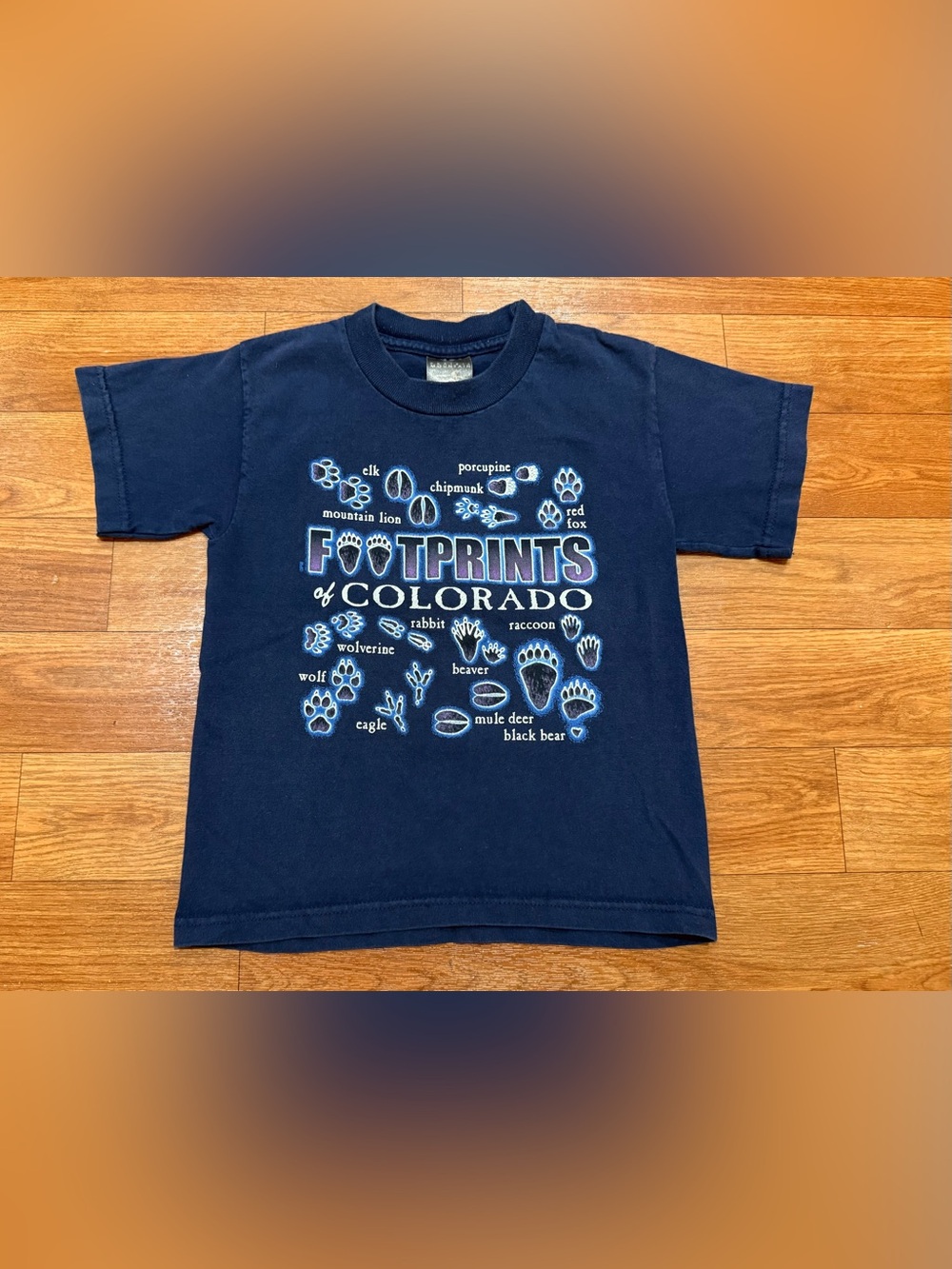 Vintage Boys Footprints of Colorado T-Shirt Size 6/8 Prairie Mountain